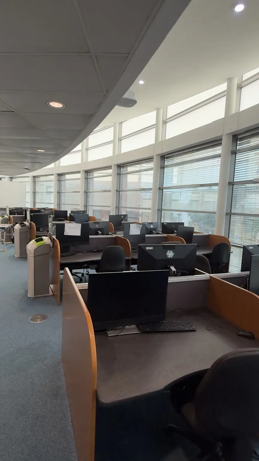 Occupied open-plan office with treated commercial windows